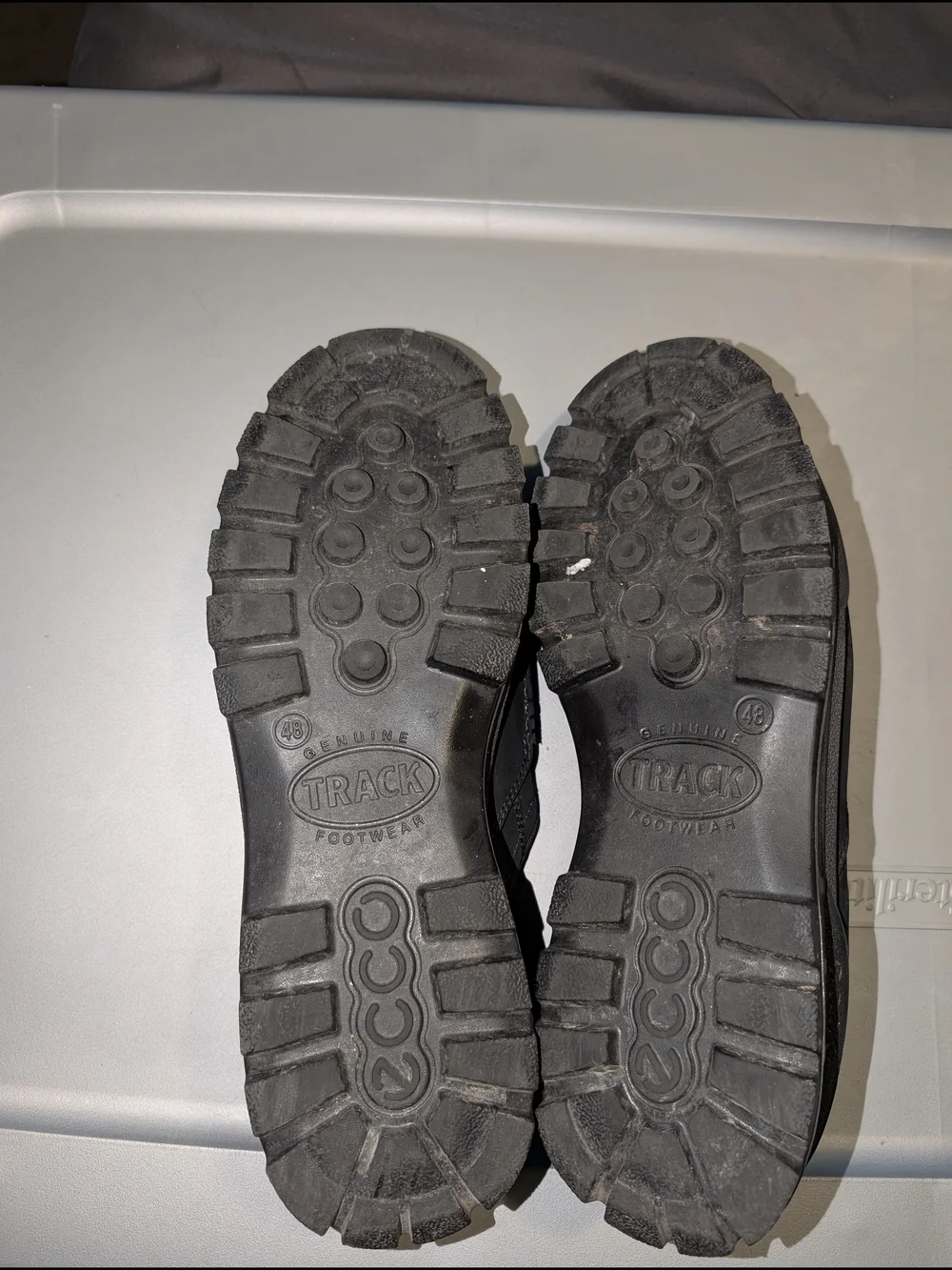 Ecco get rugged